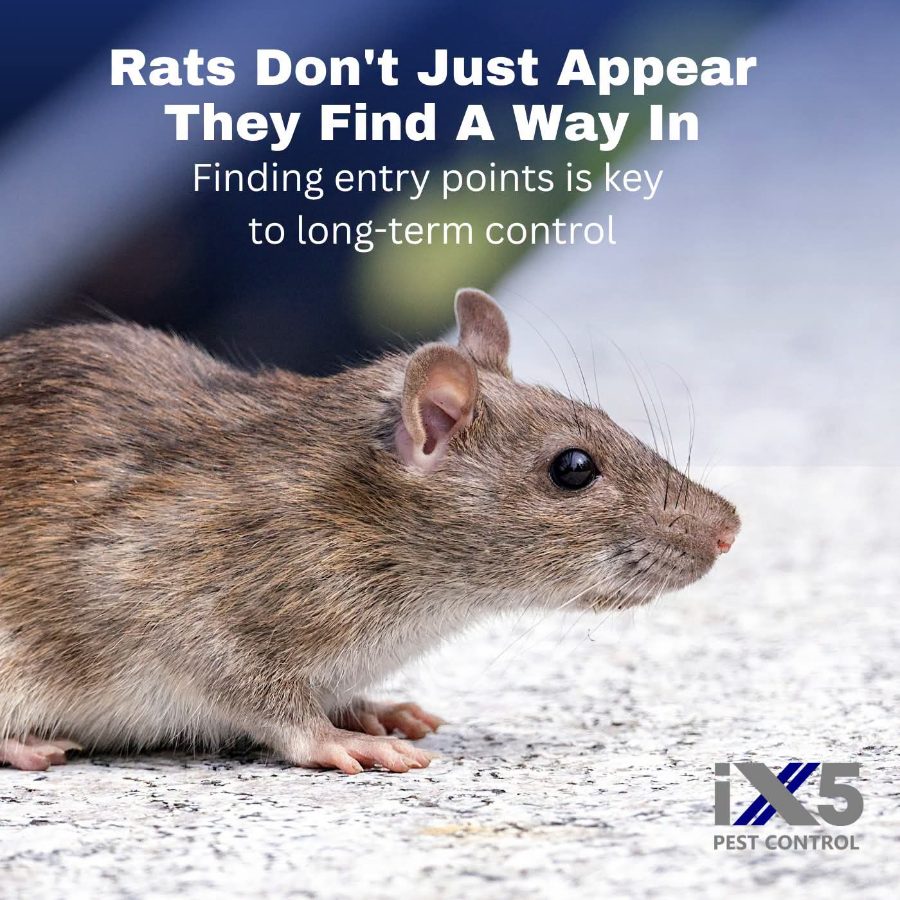 iX5 Pest Control