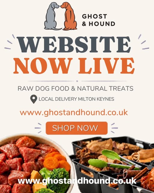Ghost and Hound Limited