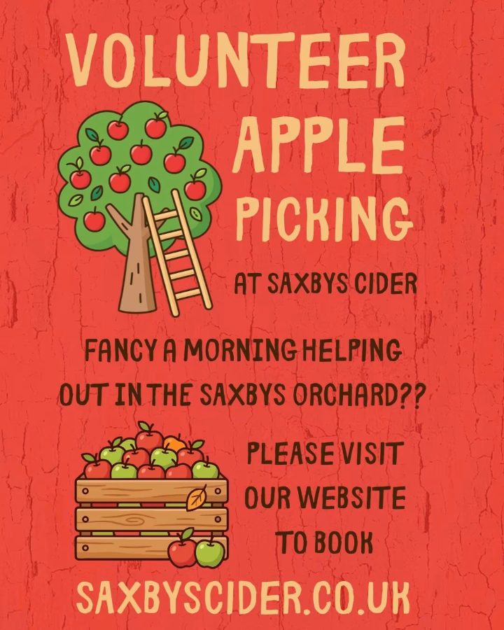 Saxbys Cider