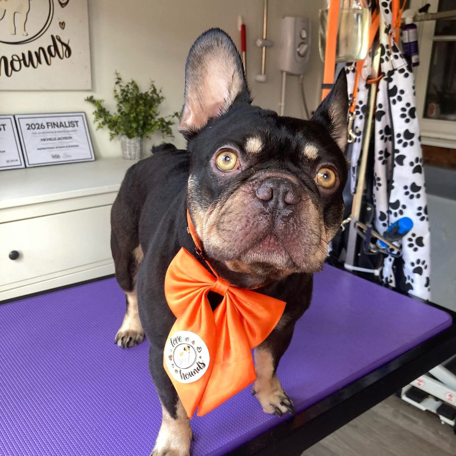 Love Hounds Dog Grooming