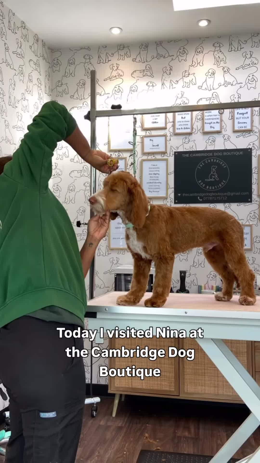 Love Hounds Dog Grooming