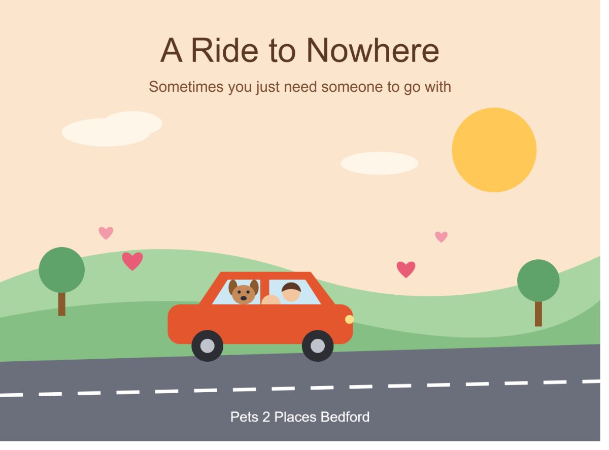 Pets 2 Places Bedford
