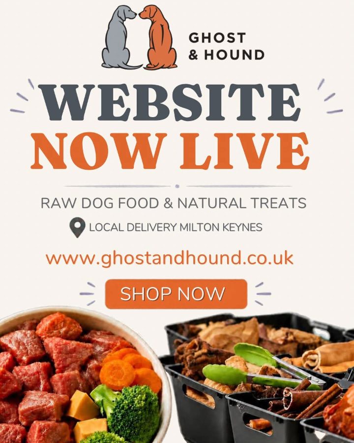 Ghost and Hound Limited