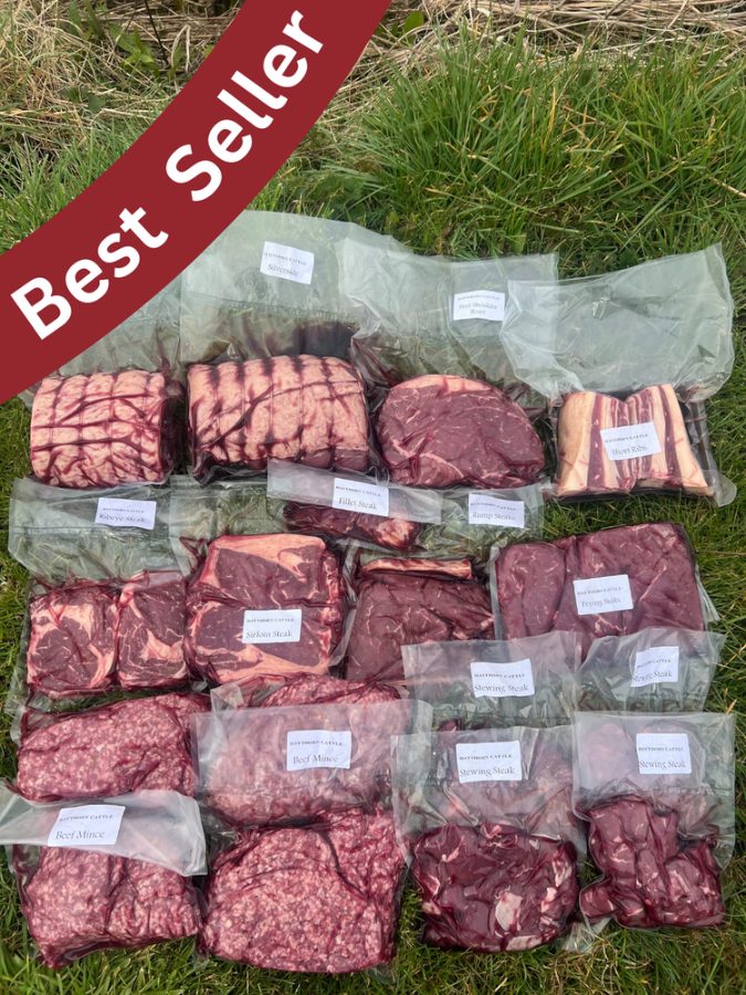 Haythorn Cattle